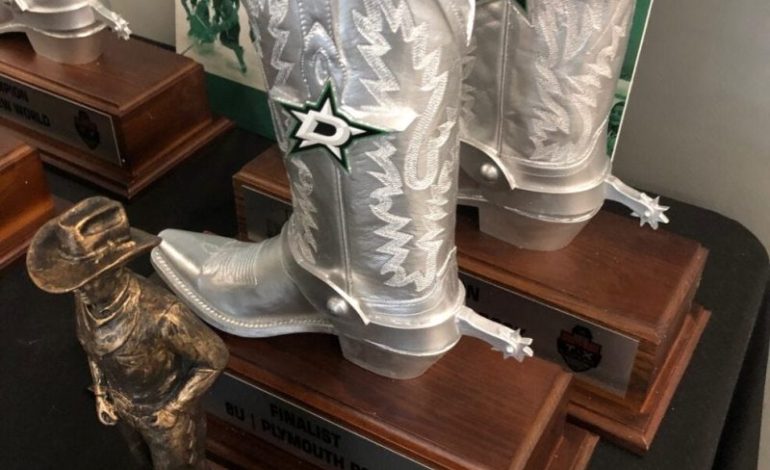  NHL’s Dallas Stars investigated for youth hockey monopoly